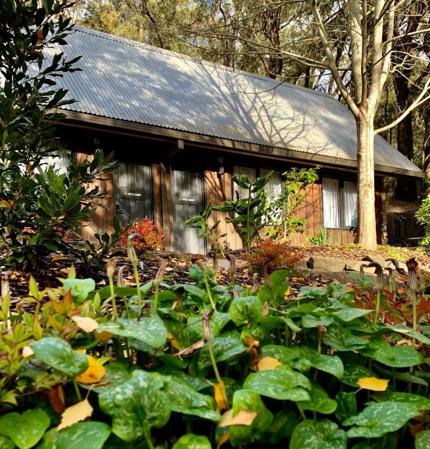 Emerald Star Cottages Extérieur photo