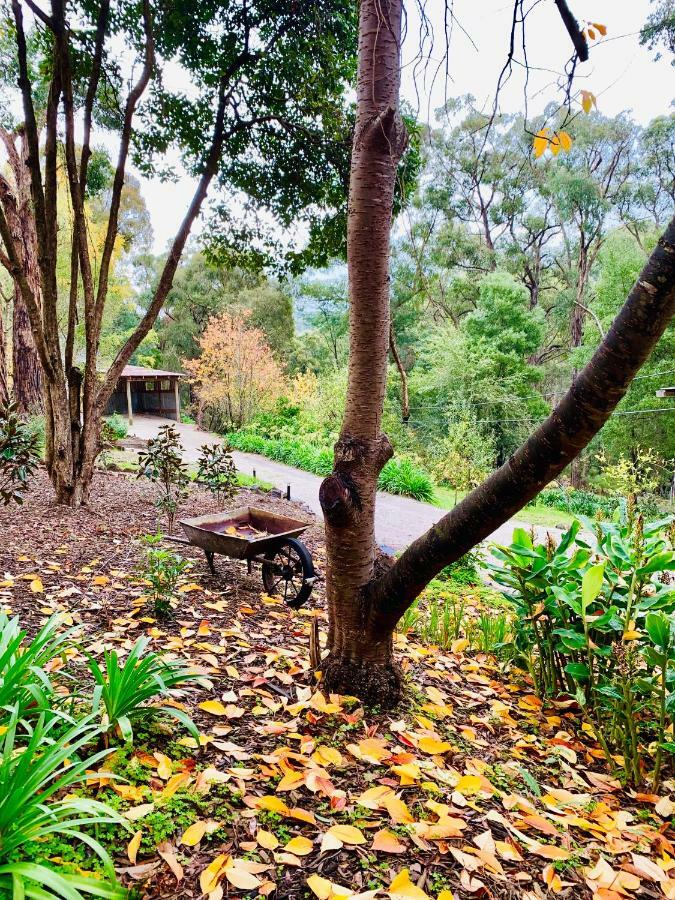 Emerald Star Cottages Extérieur photo